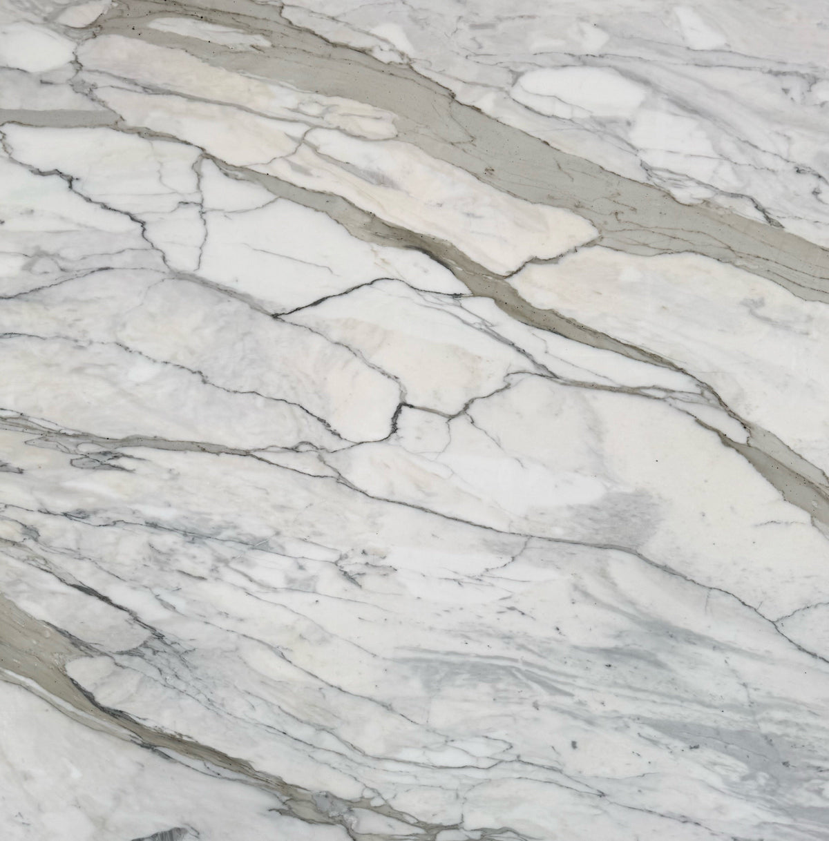 Calacatta Romano Classico